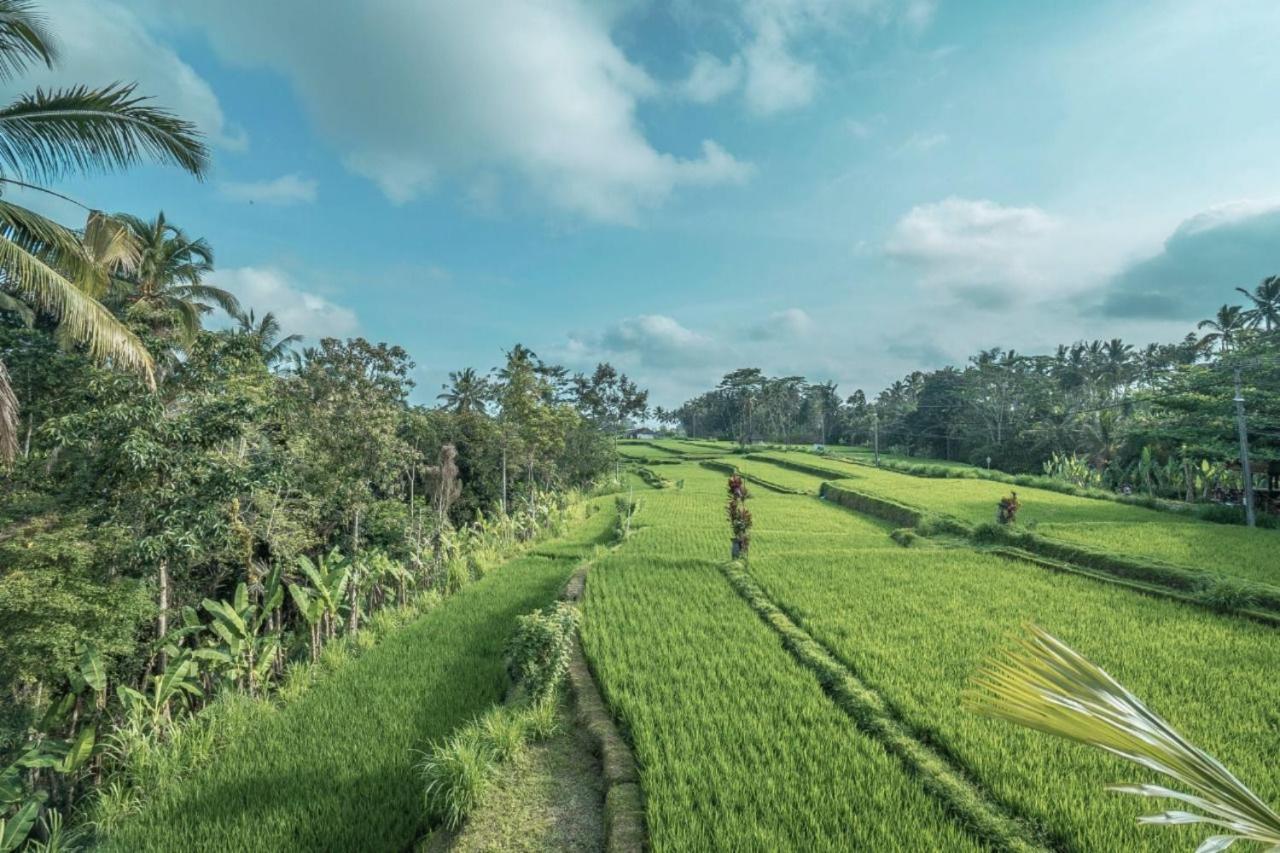 Sanggraloka Suite Ubud  Exterior photo